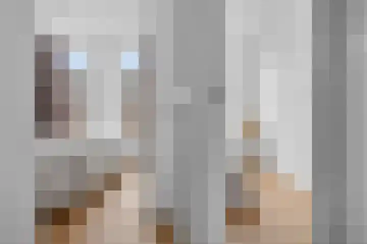 Eerste Nassaustraat 18 3 Amsterdam thumbnail 22