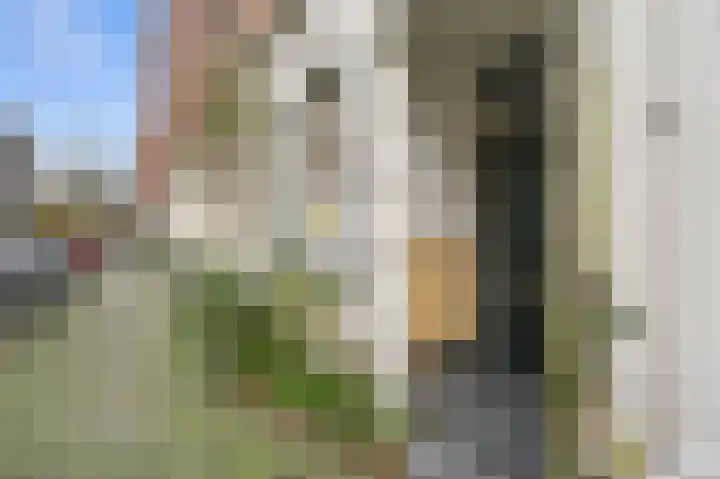 Eerste Nassaustraat 18 3 Amsterdam thumbnail 25