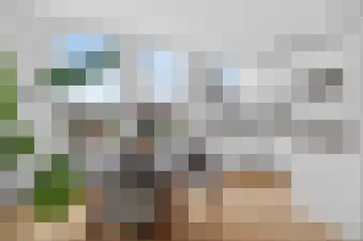 Eerste Nassaustraat 18 3 Amsterdam thumbnail 4