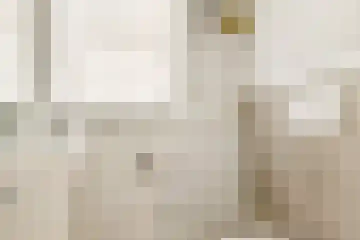 Eerste Nassaustraat 18 4 Amsterdam thumbnail 15
