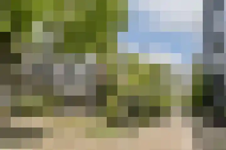 Eerste Nassaustraat 18 4 Amsterdam thumbnail 17