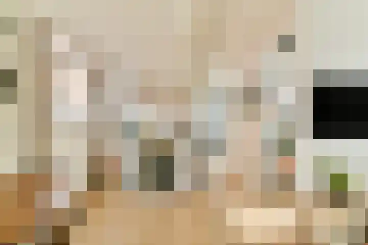 Eerste Nassaustraat 18 4 Amsterdam thumbnail 5