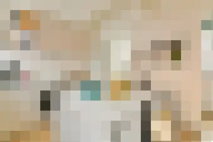 Eerste Nassaustraat 18 4 Amsterdam thumbnail 7