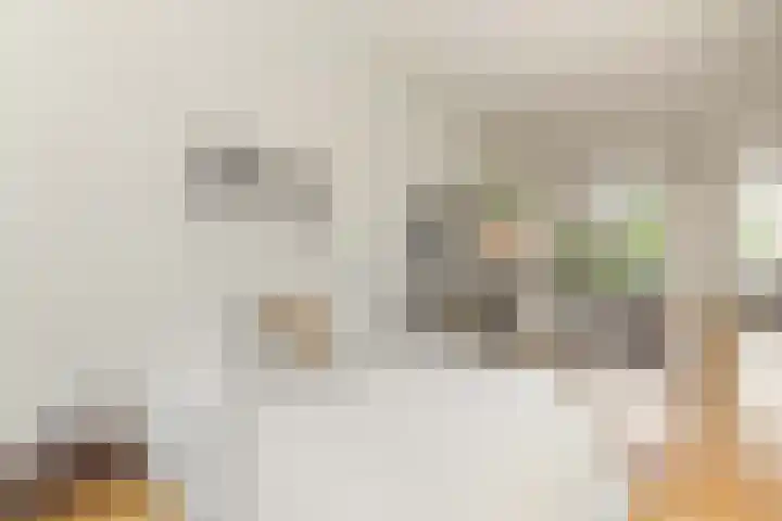 Eerste Nassaustraat 21 2 Amsterdam thumbnail 10
