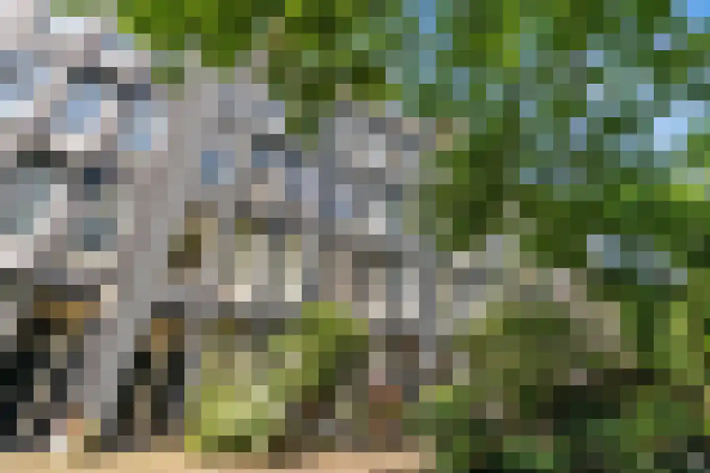 Eerste Nassaustraat 21 2 Amsterdam thumbnail 10