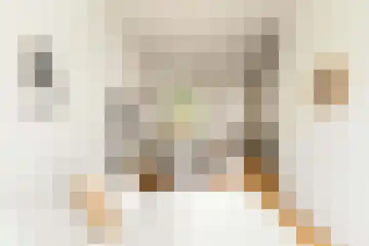 Eerste Nassaustraat 21 2 Amsterdam thumbnail 11