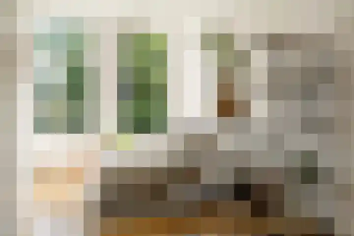 Eerste Nassaustraat 21 2 Amsterdam thumbnail 12