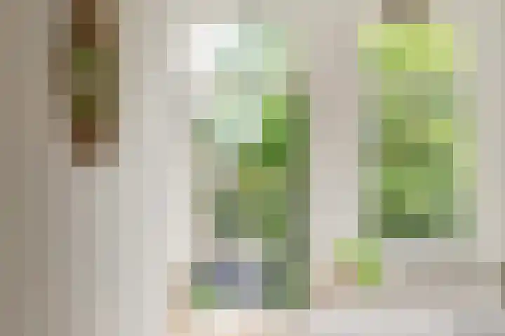 Eerste Nassaustraat 21 2 Amsterdam thumbnail 13