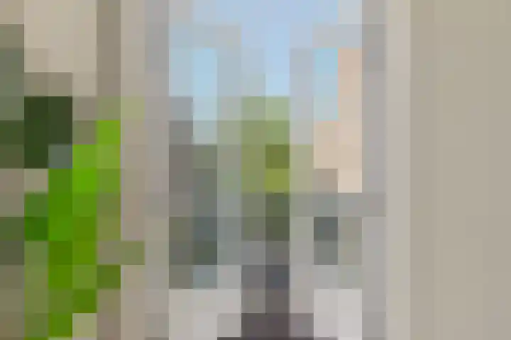 Eerste Nassaustraat 21 2 Amsterdam thumbnail 14