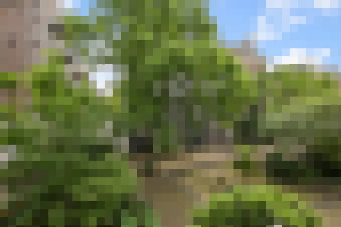 Eerste Nassaustraat 21 2 Amsterdam thumbnail 14