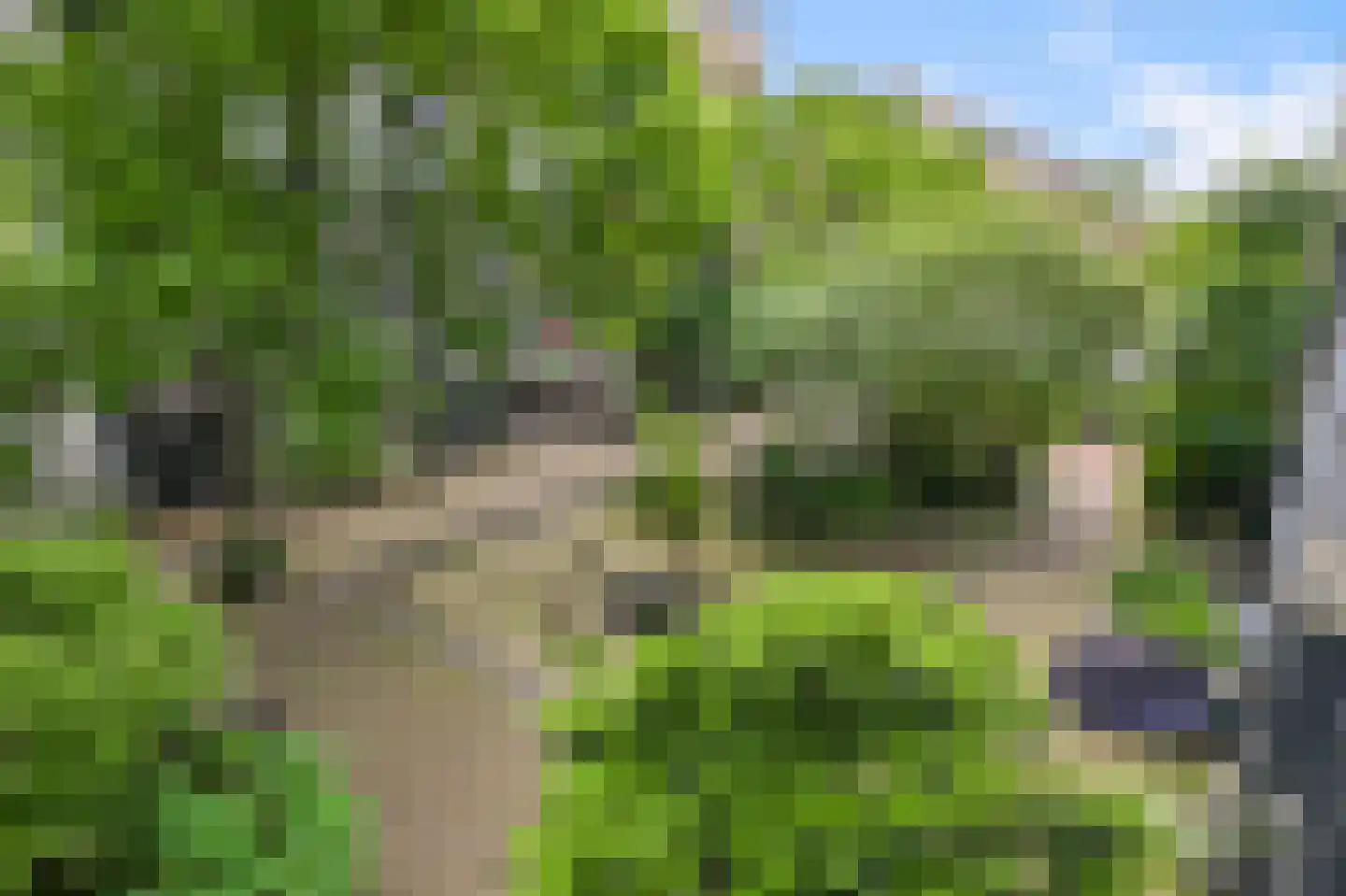 Eerste Nassaustraat 21 2 Amsterdam thumbnail 15