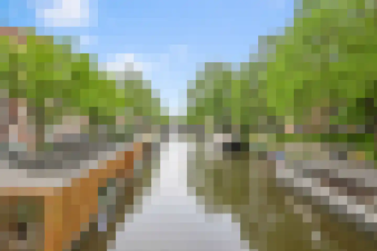 Eerste Nassaustraat 21 2 Amsterdam thumbnail 16