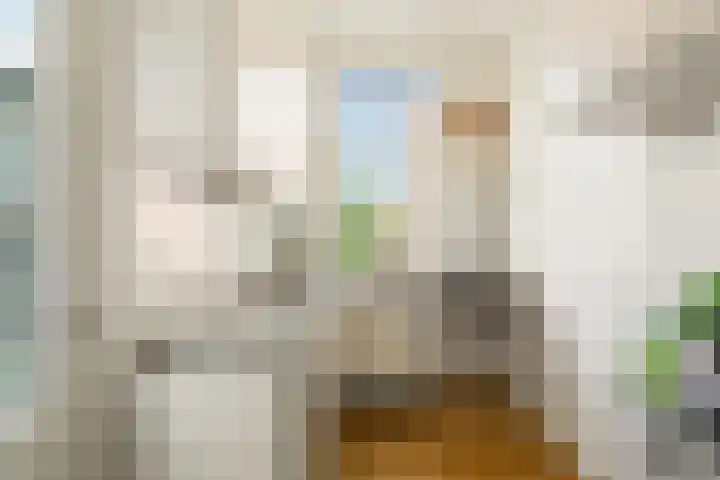 Eerste Nassaustraat 21 2 Amsterdam thumbnail 17