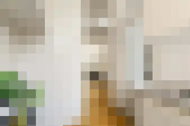 Eerste Nassaustraat 21 2 Amsterdam thumbnail 18