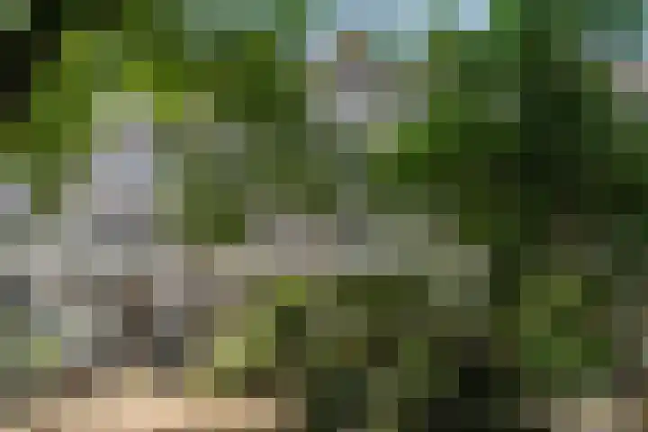Eerste Nassaustraat 21 2 Amsterdam thumbnail 21