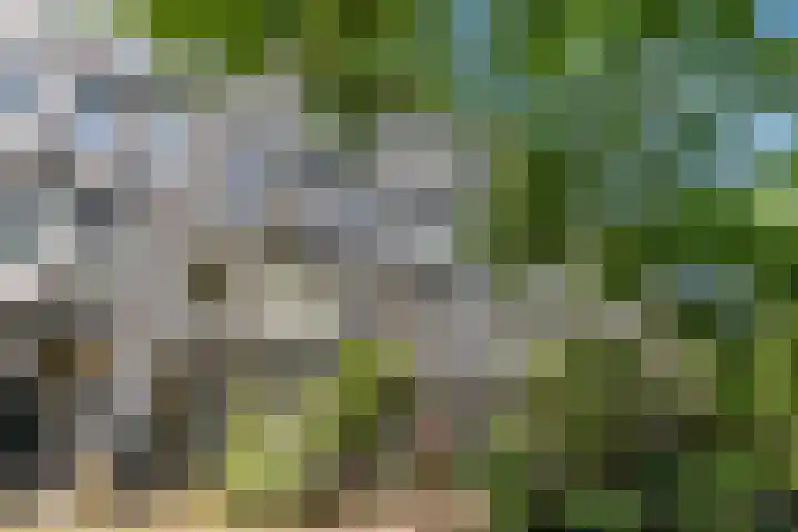 Eerste Nassaustraat 21 2 Amsterdam thumbnail 22