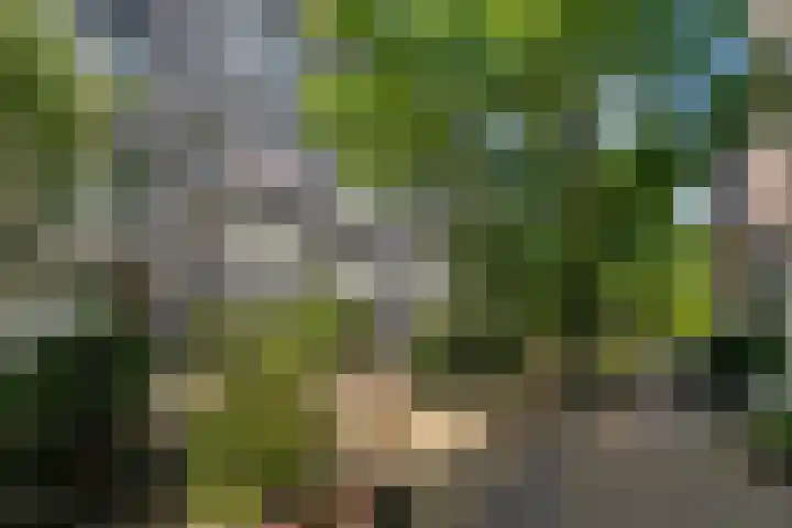 Eerste Nassaustraat 21 2 Amsterdam thumbnail 23
