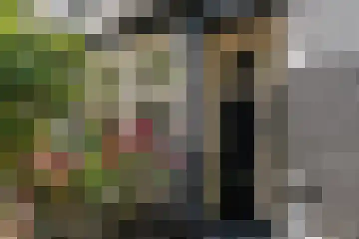 Eerste Nassaustraat 21 2 Amsterdam thumbnail 24