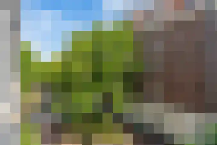 Eerste Nassaustraat 21 2 Amsterdam thumbnail 27