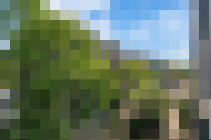 Eerste Nassaustraat 21 2 Amsterdam thumbnail 28