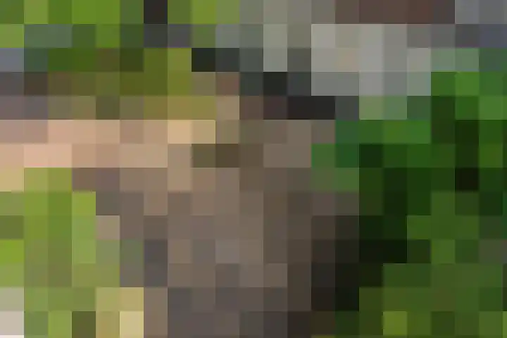 Eerste Nassaustraat 21 2 Amsterdam thumbnail 29