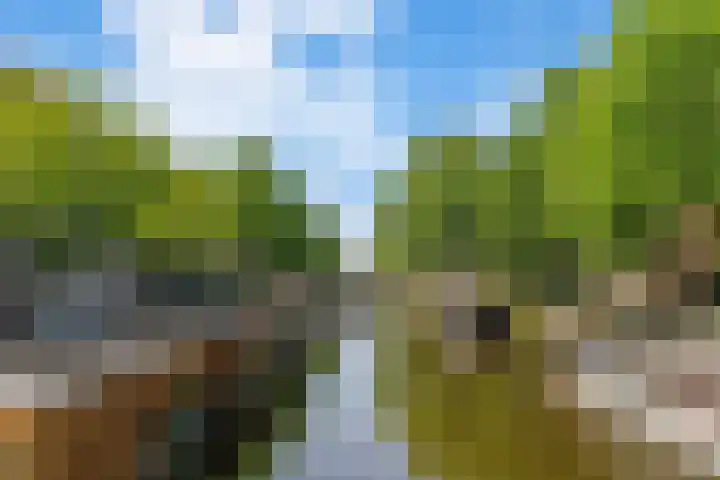 Eerste Nassaustraat 21 2 Amsterdam thumbnail 30