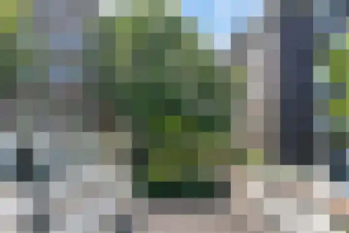 Eerste Nassaustraat 21 2 Amsterdam thumbnail 32