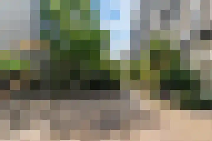 Eerste Nassaustraat 21 2 Amsterdam thumbnail 33