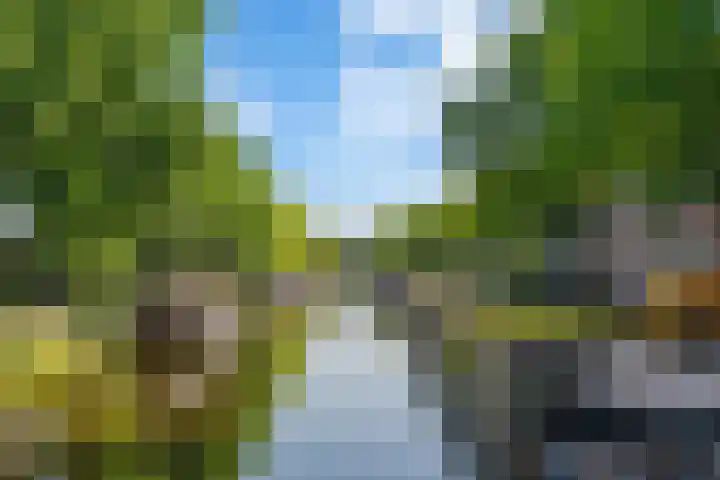 Eerste Nassaustraat 21 2 Amsterdam thumbnail 36