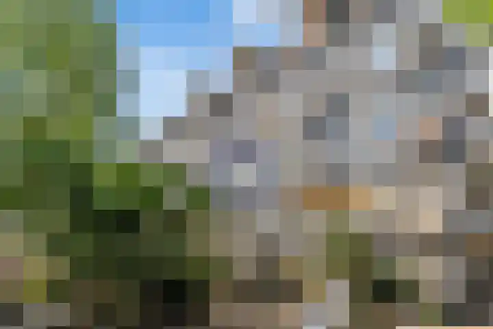 Eerste Nassaustraat 21 2 Amsterdam thumbnail 4