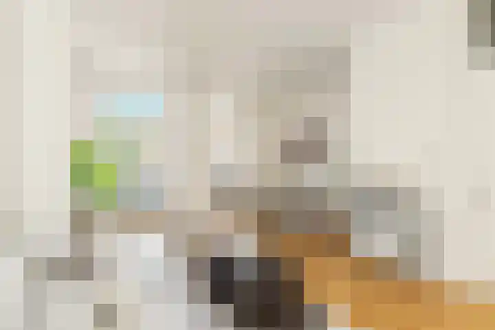 Eerste Nassaustraat 21 2 Amsterdam thumbnail 5