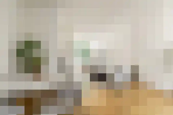 Eerste Nassaustraat 21 2 Amsterdam thumbnail 6