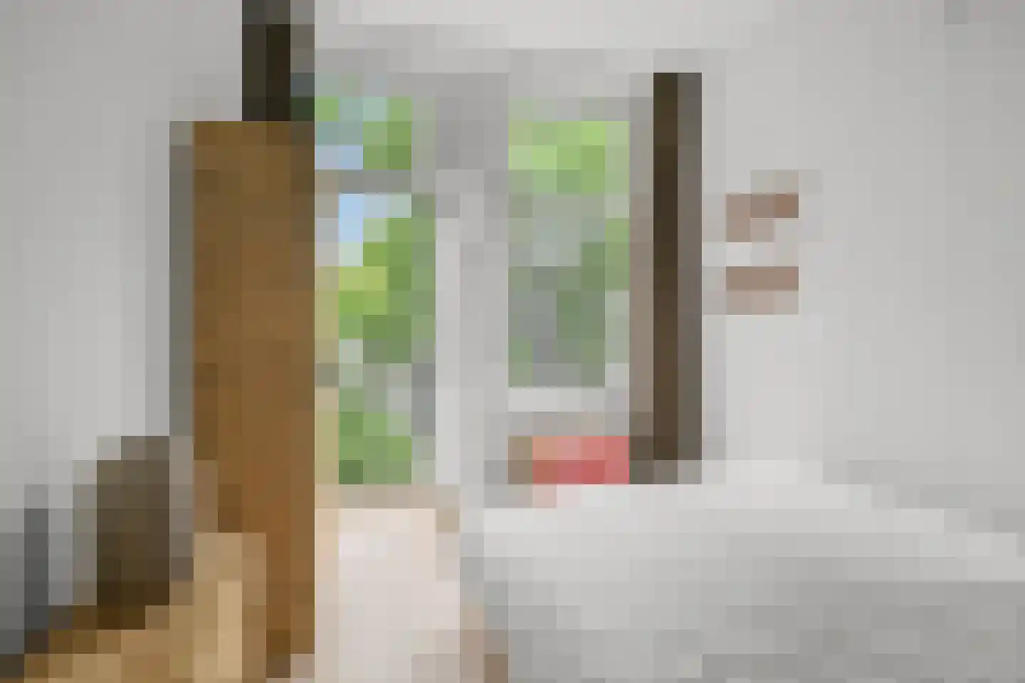 Eerste Nassaustraat 21 2 Amsterdam thumbnail 7