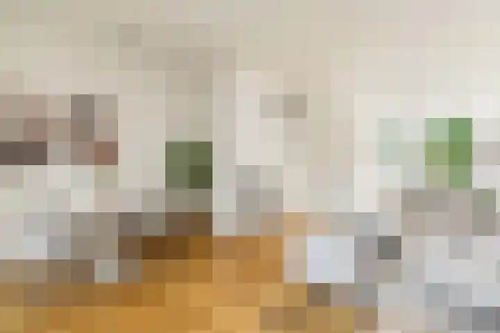 Eerste Nassaustraat 21 2 Amsterdam thumbnail 7