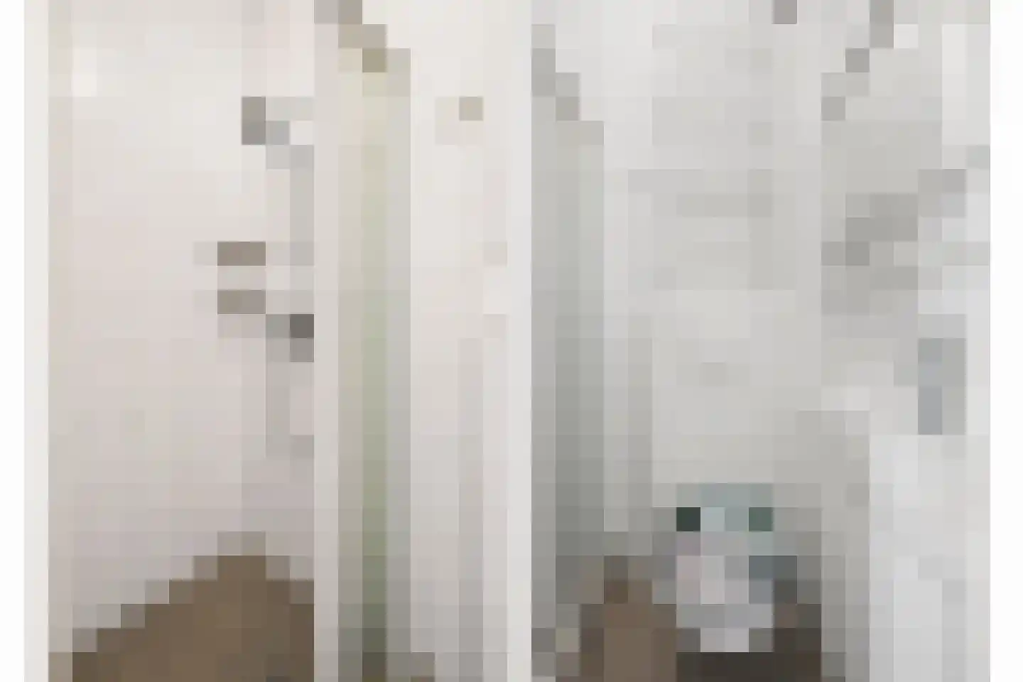 Eerste Nassaustraat 21 2 Amsterdam thumbnail 8