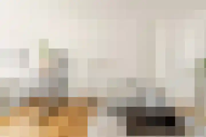 Eerste Nassaustraat 21 2 Amsterdam thumbnail 8