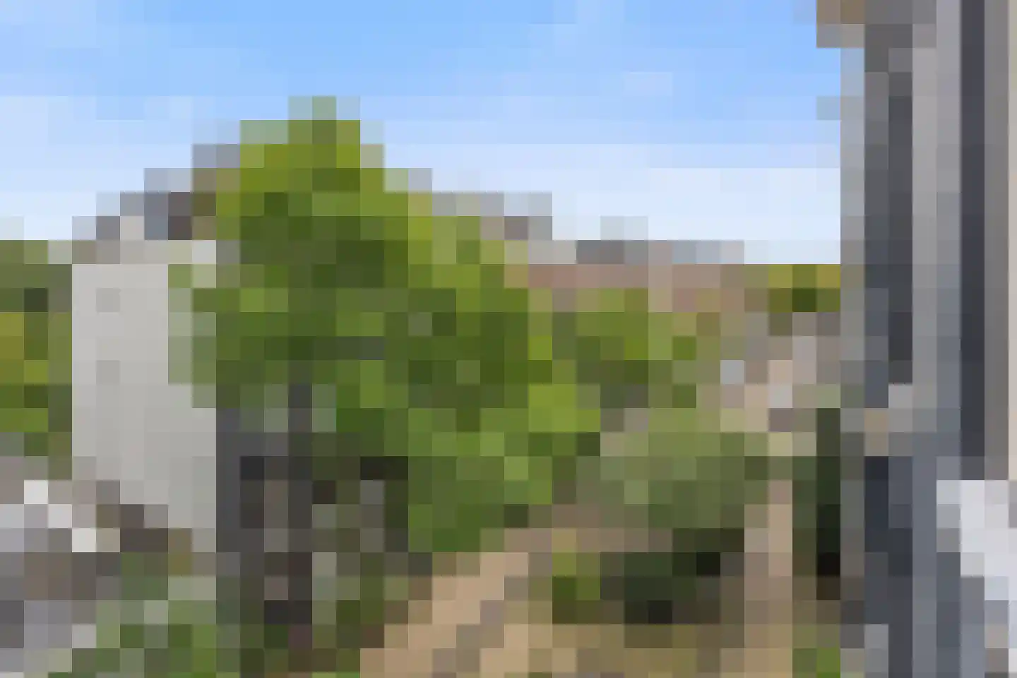 Eerste Nassaustraat 21 3 Amsterdam thumbnail 19