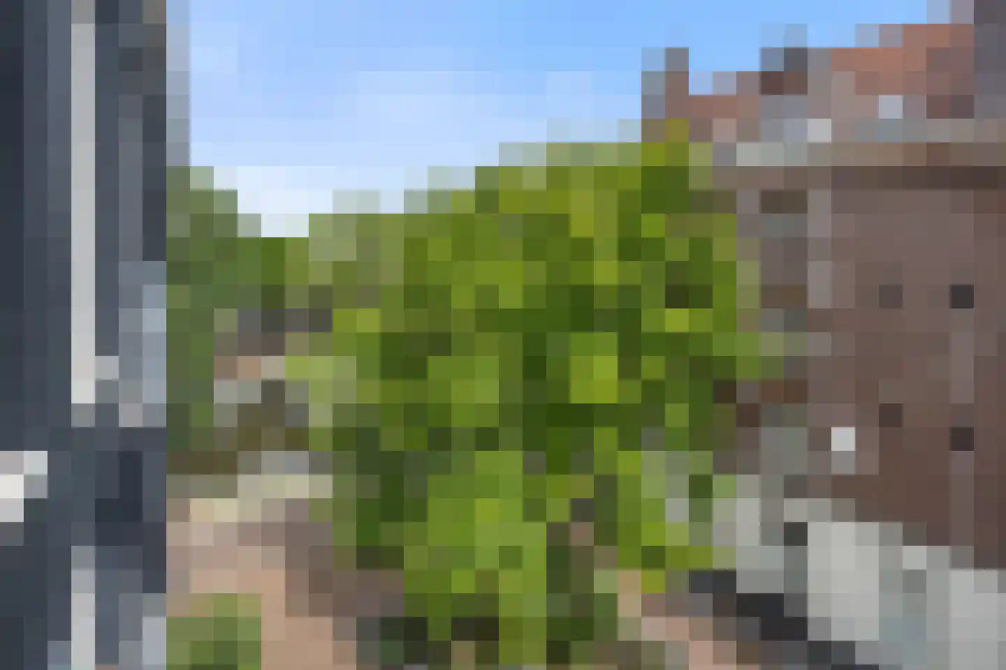Eerste Nassaustraat 21 3 Amsterdam thumbnail 20