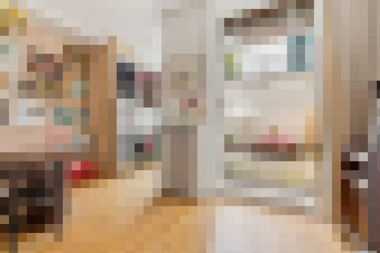 Eerste Nassaustraat 23 H Amsterdam thumbnail 14