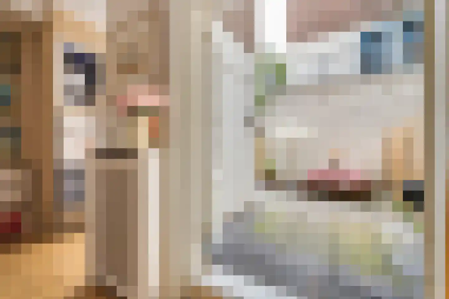 Eerste Nassaustraat 23 H Amsterdam thumbnail 18