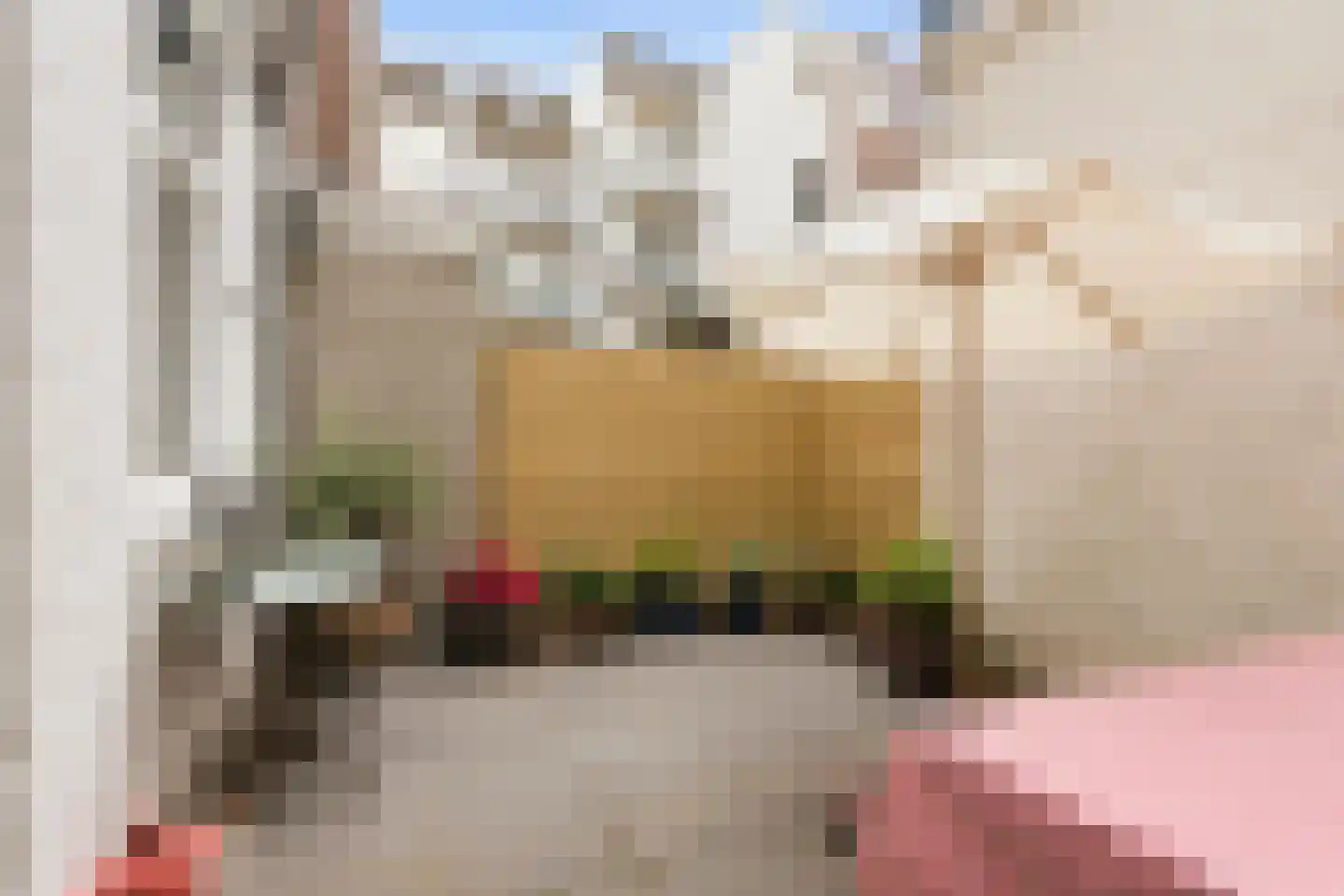 Eerste Nassaustraat 23 H Amsterdam thumbnail 19