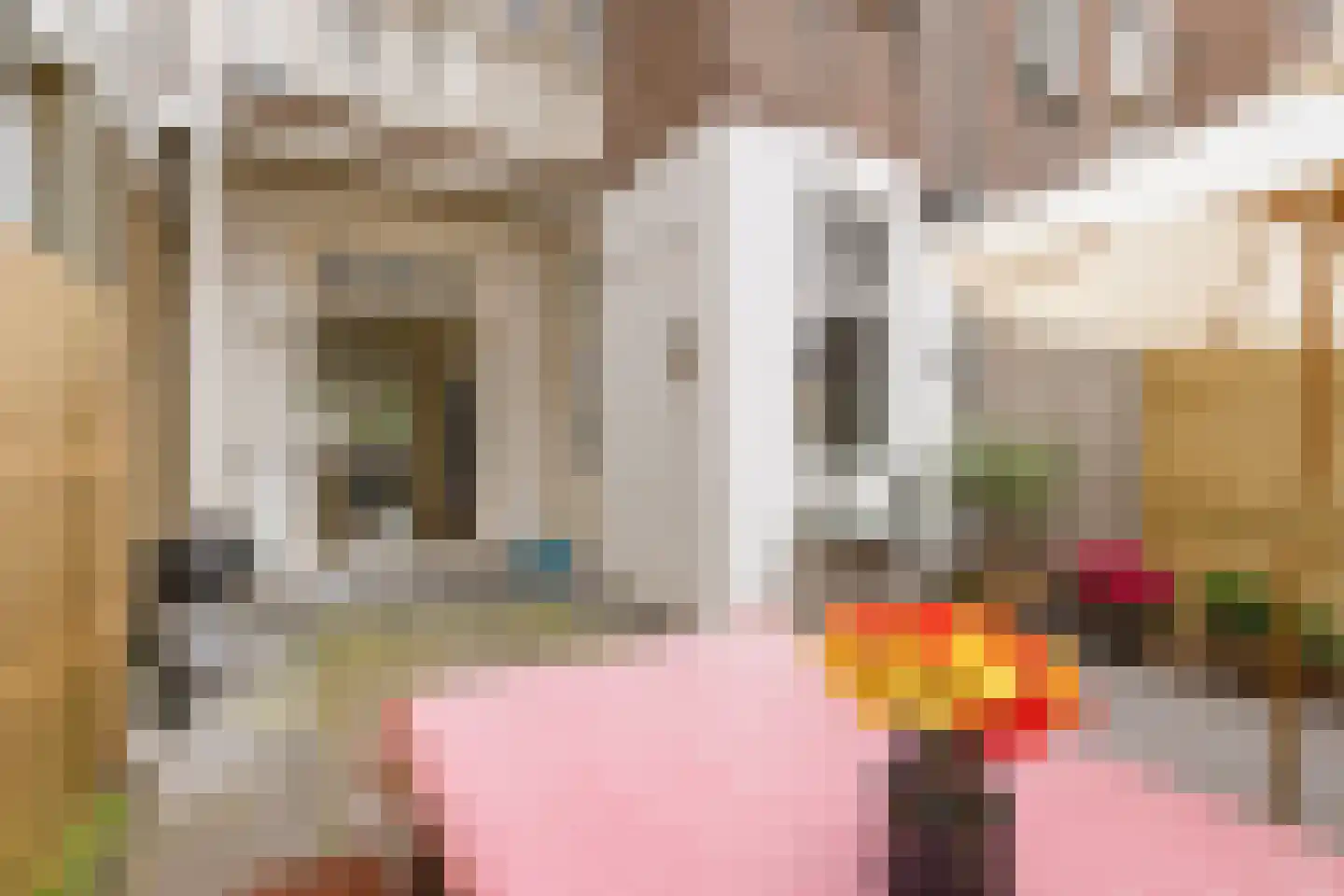 Eerste Nassaustraat 23 H Amsterdam thumbnail 21