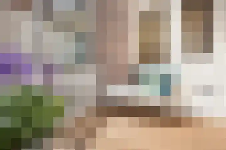 Eerste Nassaustraat 25 3 Amsterdam thumbnail 13