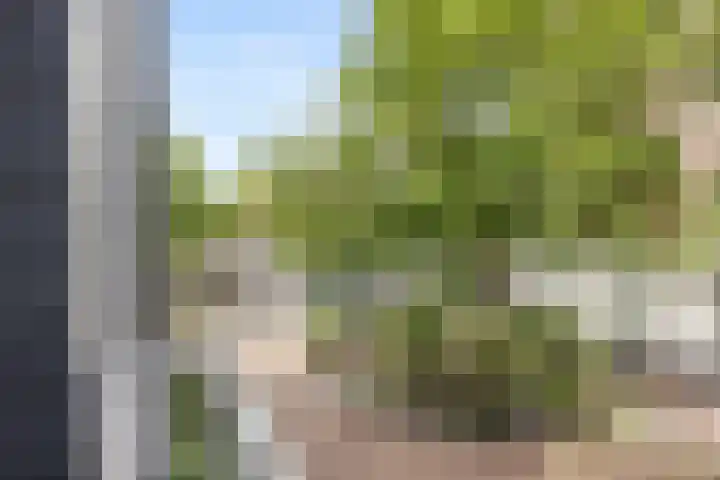 Eerste Nassaustraat 25 3 Amsterdam thumbnail 19