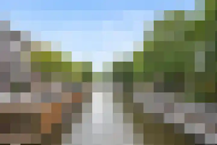 Eerste Nassaustraat 25 3 Amsterdam thumbnail 26