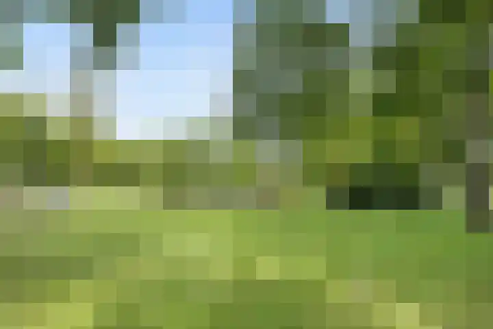 Eerste Nassaustraat 25 3 Amsterdam thumbnail 27