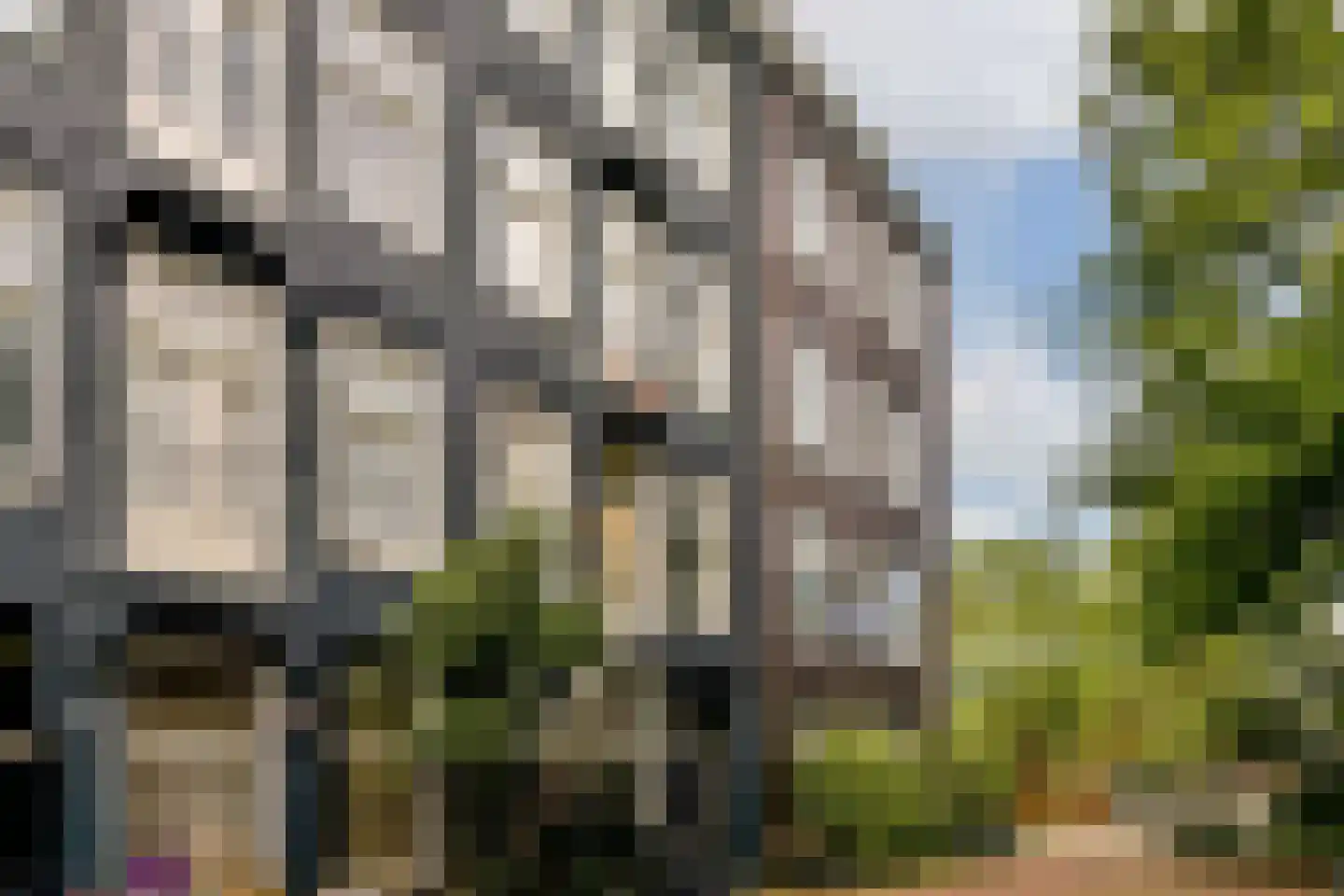 Eerste Nassaustraat 25 H Amsterdam thumbnail 11