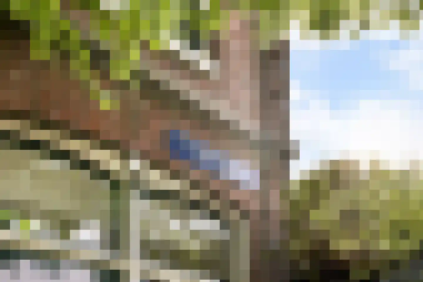 Eerste Nassaustraat 25 H Amsterdam thumbnail 13