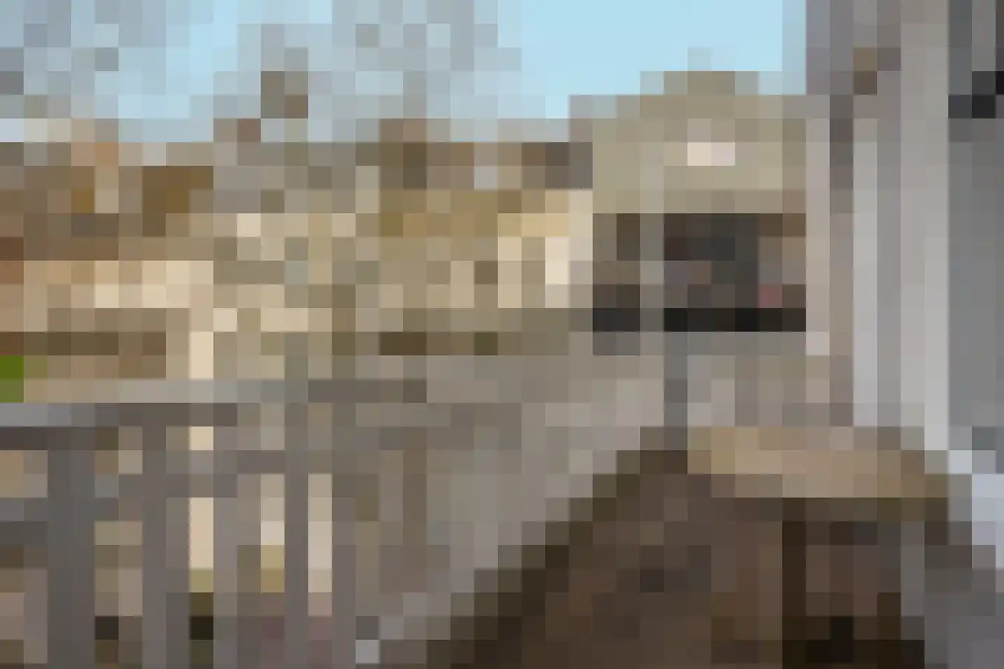 Eerste Nassaustraat 6 H Amsterdam thumbnail 24