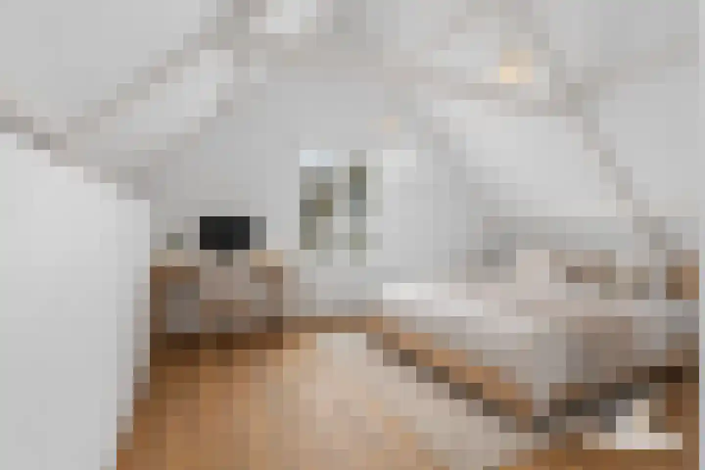 Eerste Nassaustraat 6 H Amsterdam thumbnail 35